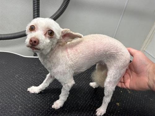 Gallery Image IMG_5410.jpeg