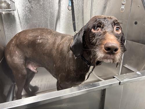 Gallery Image IMG_5420.jpeg