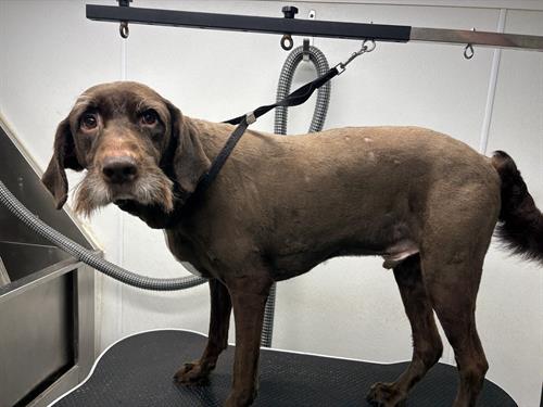 Gallery Image IMG_5426.jpeg