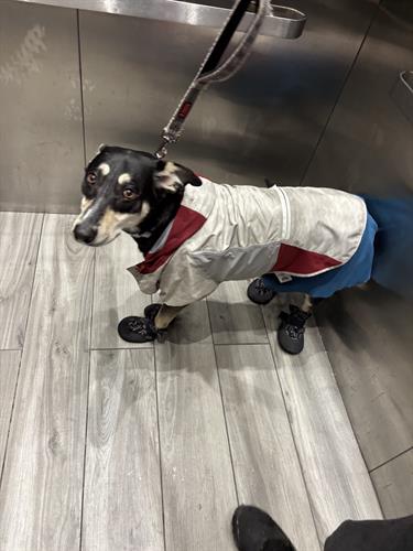 Gallery Image IMG_5436.jpeg