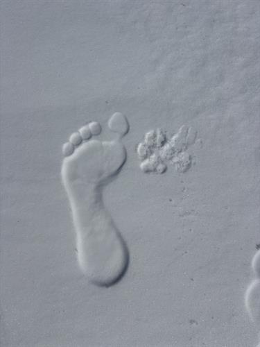 Gallery Image IMG_5473.jpeg