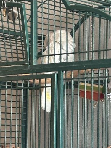 Gallery Image IMG_5475.jpeg