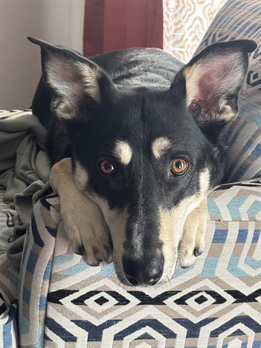 Gallery Image IMG_5485.jpeg