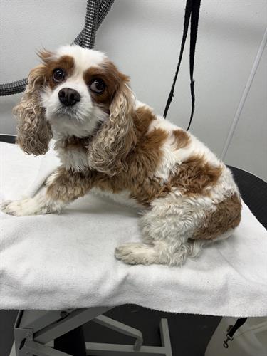 Gallery Image IMG_5489.jpeg