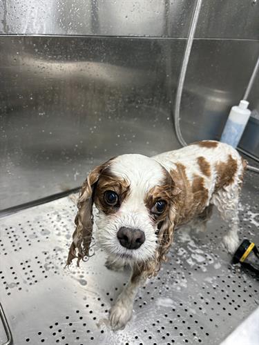 Gallery Image IMG_5494.jpeg