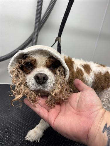 Gallery Image IMG_5499.jpeg