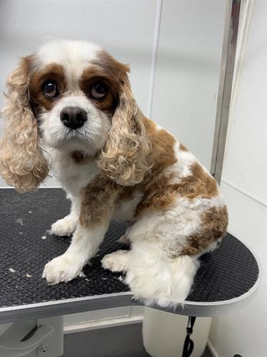 Gallery Image IMG_5502.jpeg