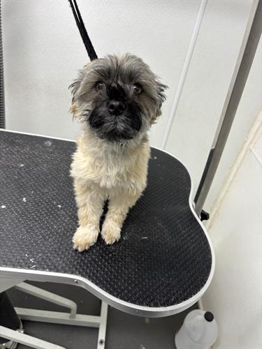 Gallery Image IMG_5506.jpeg