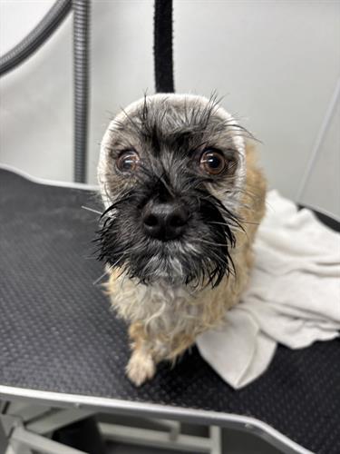 Gallery Image IMG_5517.jpeg