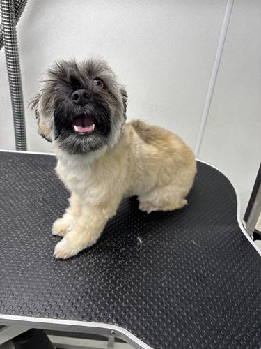 Gallery Image IMG_5522.jpeg