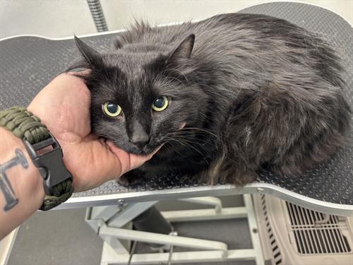 Gallery Image IMG_5529.jpeg