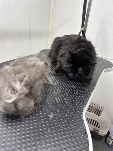 Gallery Image IMG_5536.jpeg