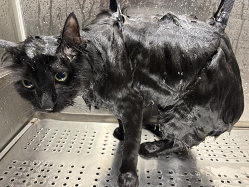 Gallery Image IMG_5540.jpeg