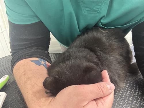 Gallery Image IMG_5545.jpeg