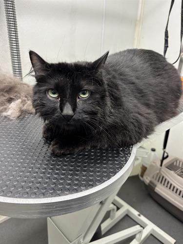 Gallery Image IMG_5549.jpeg