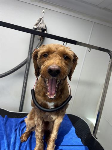 Gallery Image IMG_5562.jpeg