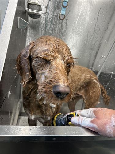 Gallery Image IMG_5568.jpeg