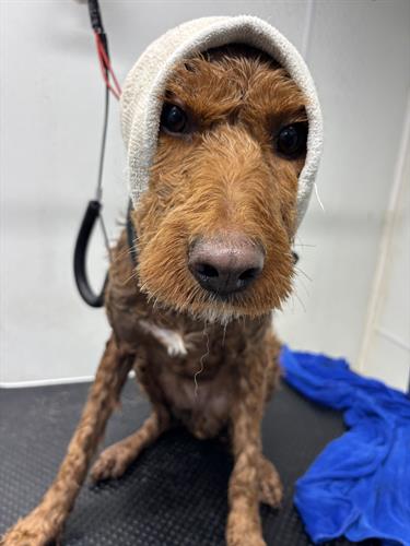 Gallery Image IMG_5576.jpeg