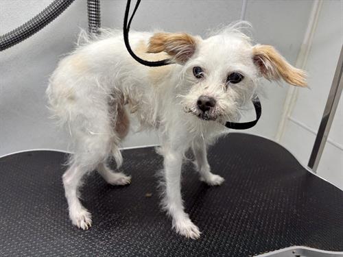 Gallery Image IMG_5582.jpeg