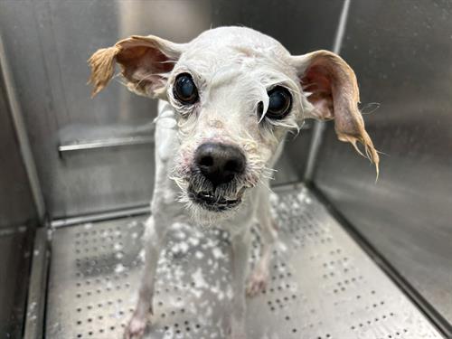 Gallery Image IMG_5584.jpeg