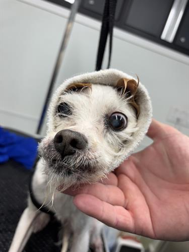 Gallery Image IMG_5586.jpeg