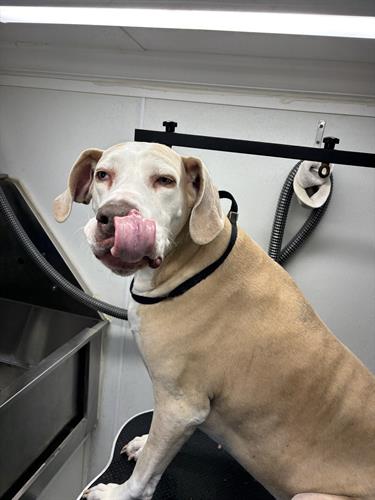 Gallery Image IMG_5593.jpeg