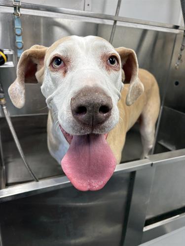 Gallery Image IMG_5601.jpeg