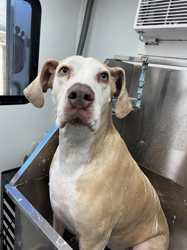 Gallery Image IMG_5604.jpeg