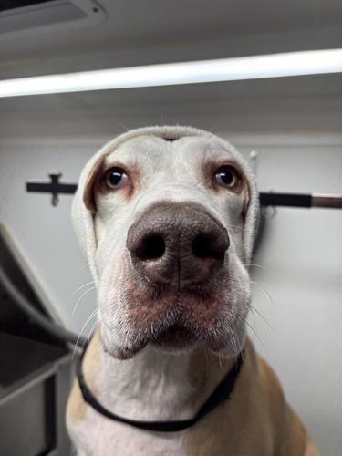 Gallery Image IMG_5608.jpeg