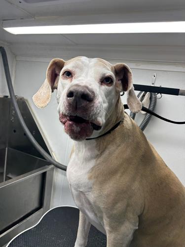 Gallery Image IMG_5611.jpeg