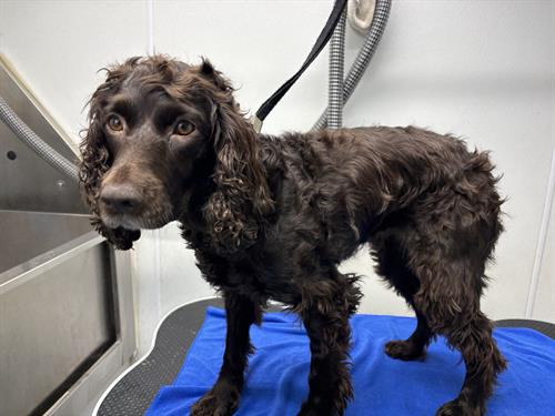 Gallery Image IMG_5619.jpeg