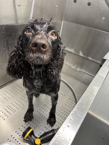 Gallery Image IMG_5626.jpeg