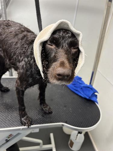 Gallery Image IMG_5629.jpeg