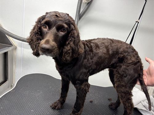 Gallery Image IMG_5634.jpeg