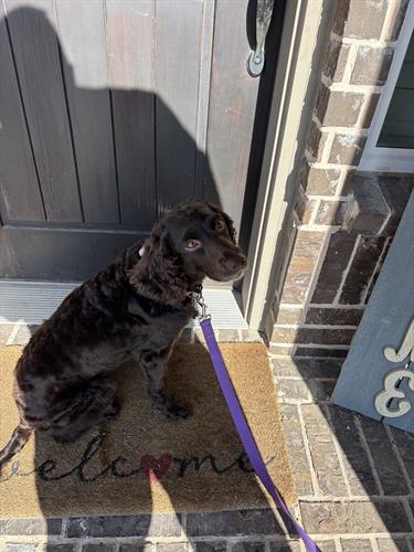 Gallery Image IMG_5643.jpeg