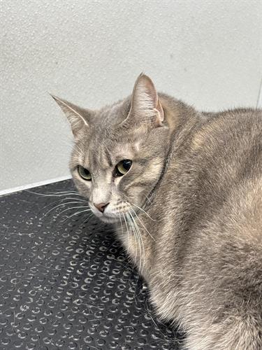 Gallery Image IMG_5646.jpeg