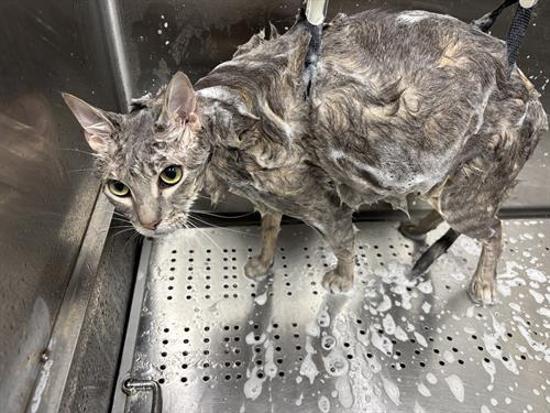 Gallery Image IMG_5649(1).jpeg