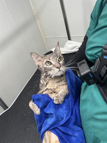 Gallery Image IMG_5653(1).jpeg