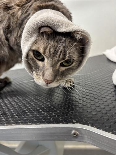 Gallery Image IMG_5657.jpeg