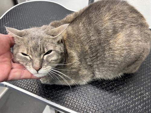 Gallery Image IMG_5660.jpeg