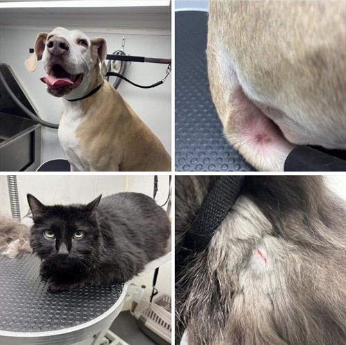 Gallery Image IMG_5934.jpeg