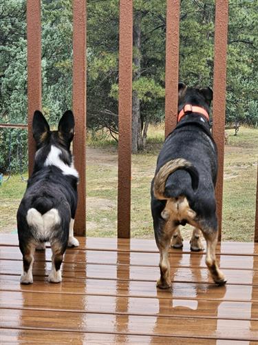 Gallery Image imagejpeg_0.jpeg