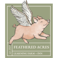 Art of the Farm- Polymer Clay Earrings Class