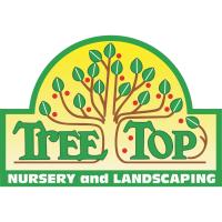 Holiday Porch Pots at Tree Top Nursery
