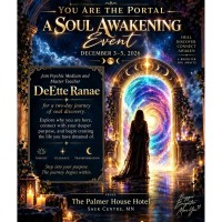 A Soul's Awakening: You Are the Portal at the Palmer House