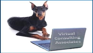 Virtual Consulting & Associates