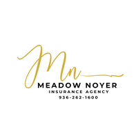 Meadow Noyer Agency-Allstate