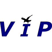 VIP Technology Services LLC