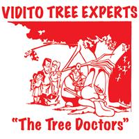 Vidito Tree Experts