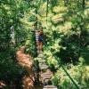 11/30 Network Treetop Adventure & Brewery Tour